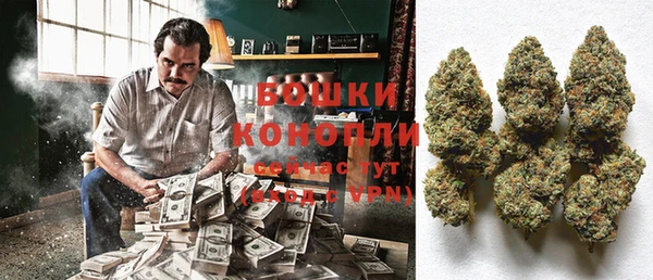 винт Бронницы