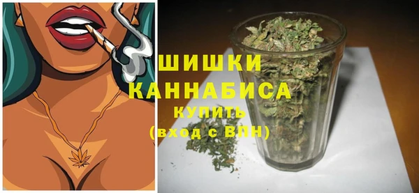гидропоника Бородино