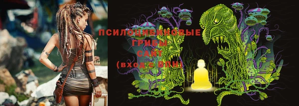 винт Бронницы