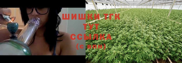 гидропоника Бородино