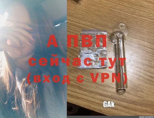 гидропоника Бородино