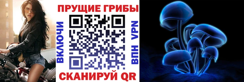 Псилоцибиновые грибы GOLDEN TEACHER  цена   Можайск 